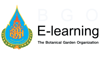 BGO E-Learning