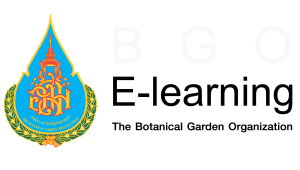 BGO E-Learning