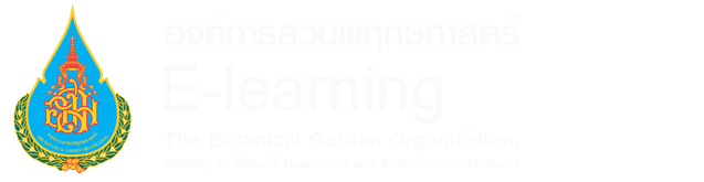 Academi