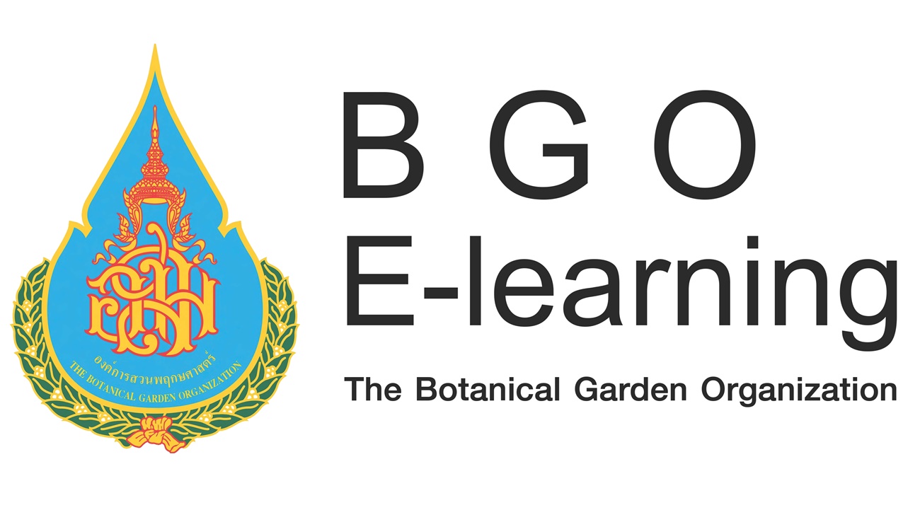 BGO E-Learning
